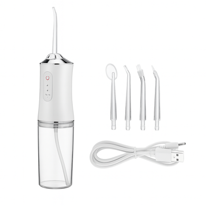 Hidrodent Pro 4 en 1